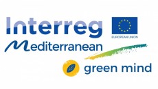 GREEN MIND - Pilot Testing Meetings with SMEs from Green and Smart Mobility Industry 